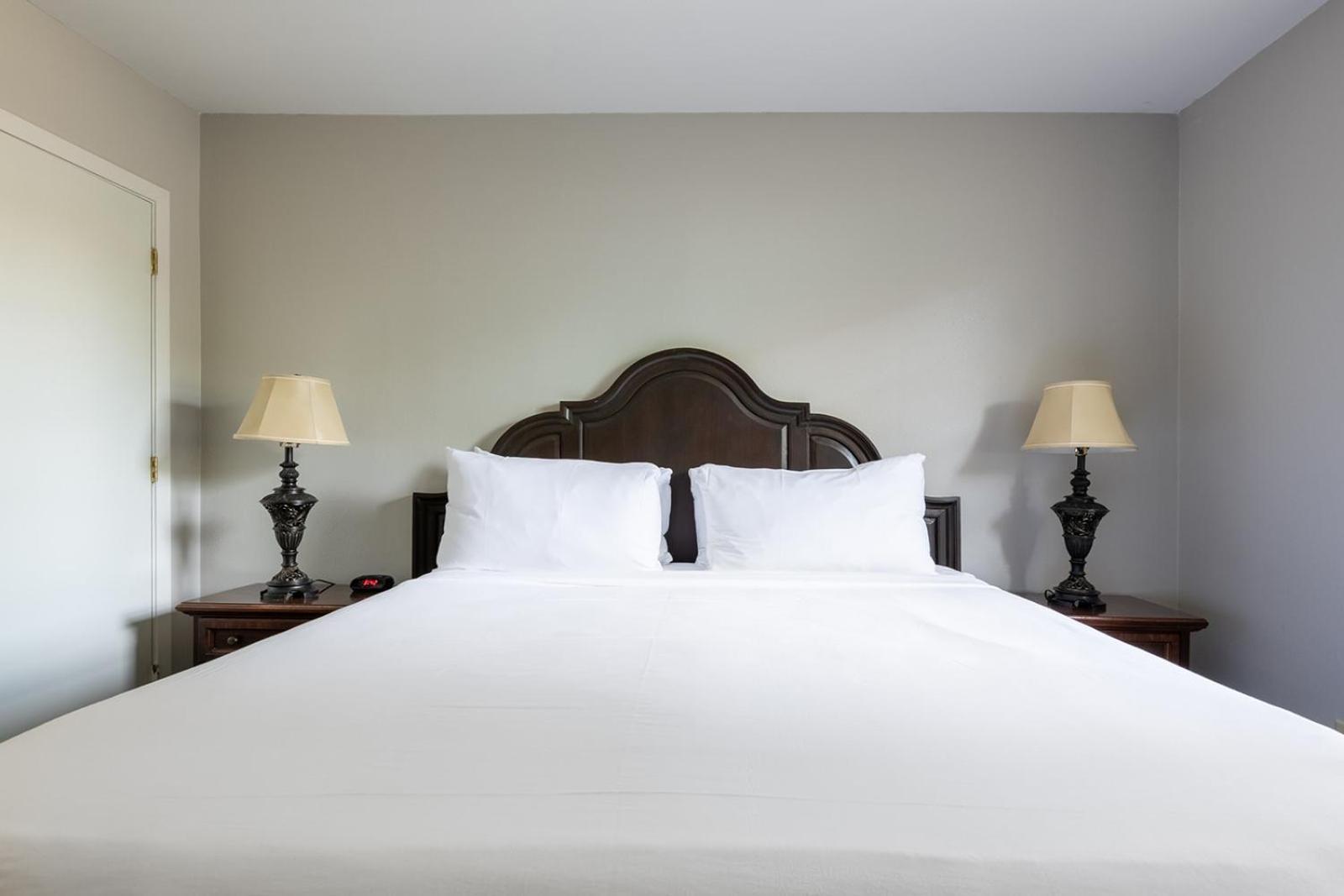 French Quarter Suites Hotel New Orleans Buitenkant foto